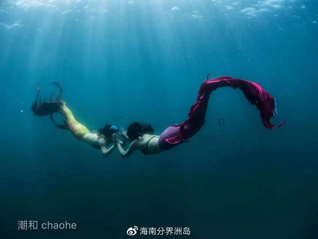 次元喵
