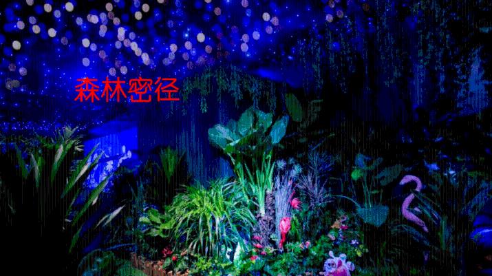 道家思想代表人物有哪些?知识星球-专业分享与交流平台
